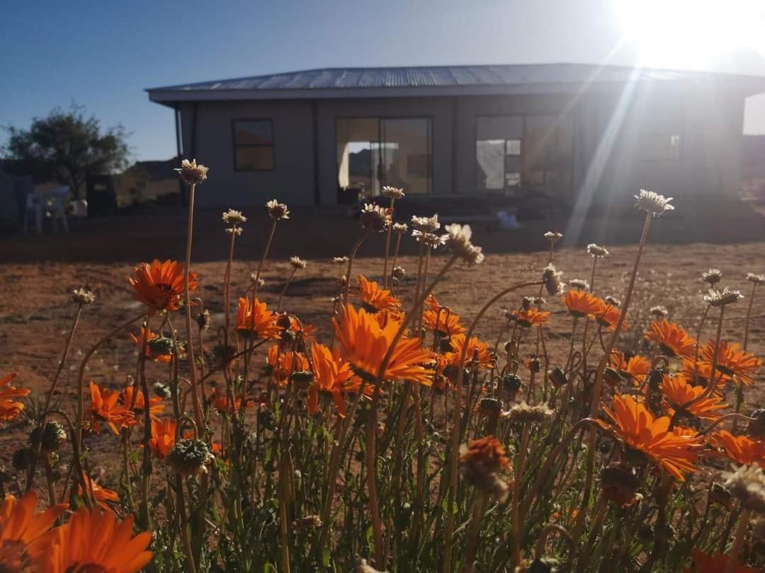 Droedap Guest Farm Springbok