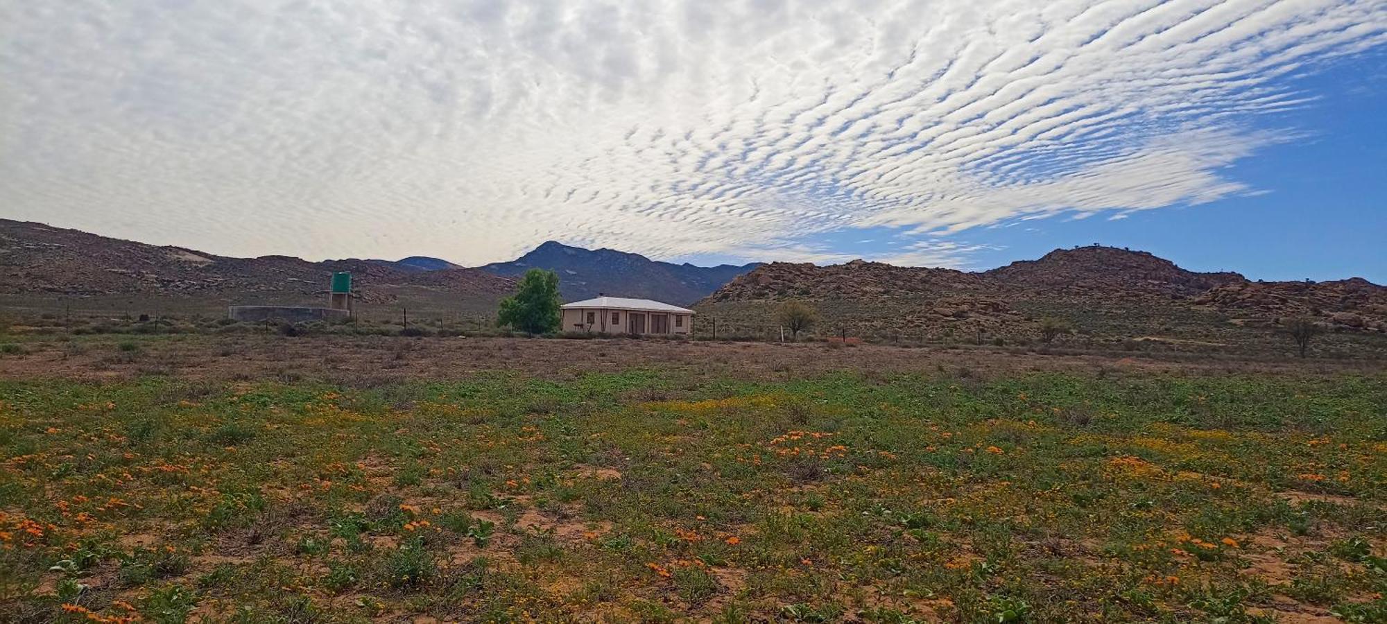 Droedap Guest Farm Springbok